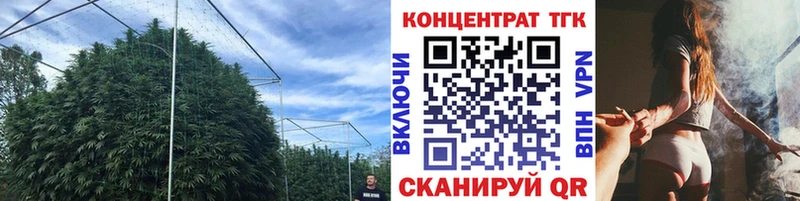 ТГК гашишное масло как найти закладки Майский