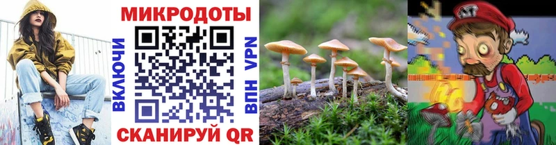 Псилоцибиновые грибы MAGIC MUSHROOMS  наркота  Майский 